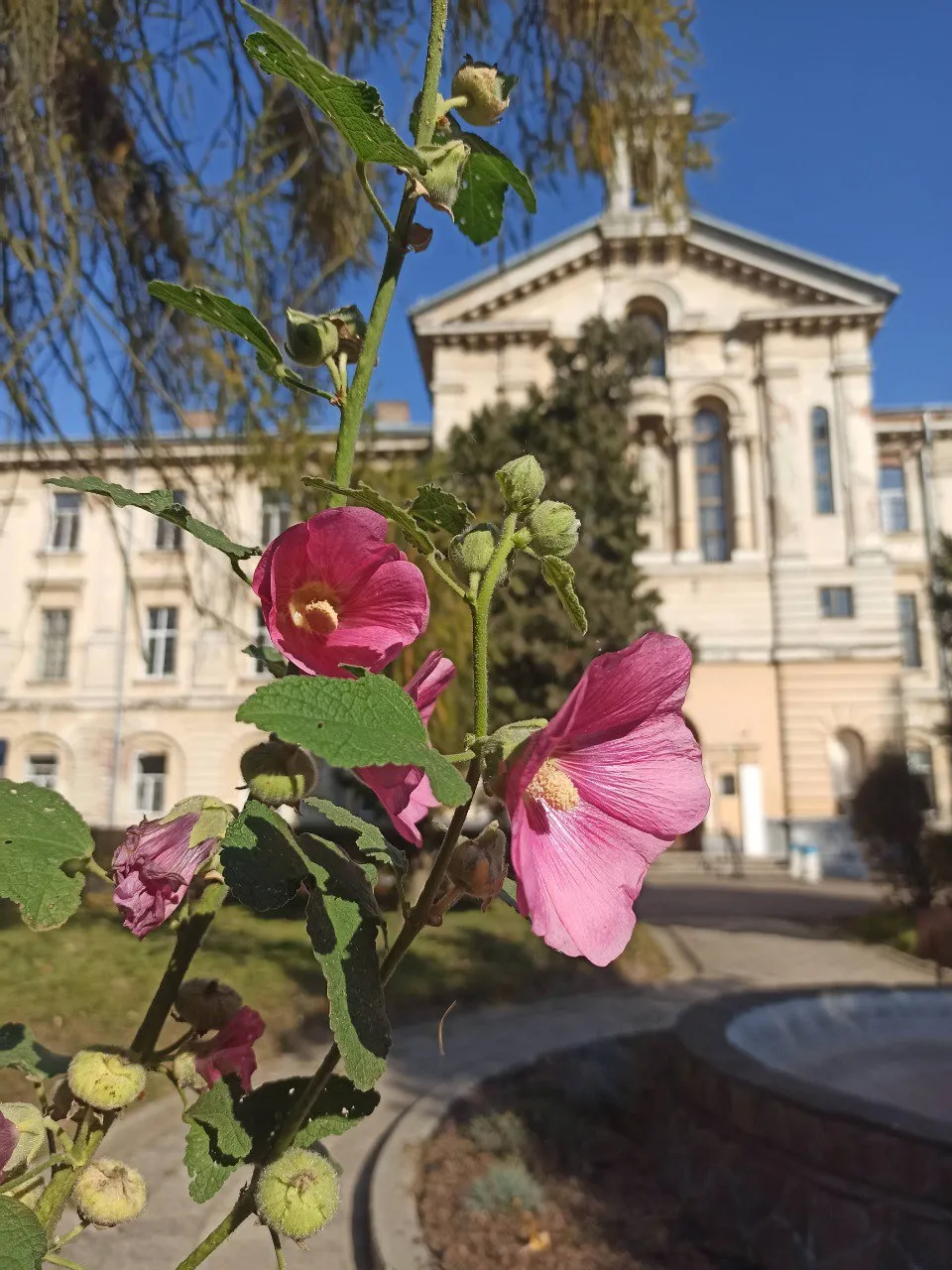 КНП Львівської Обласної Ради «Львівська Обласна Клінічна Психіатрична Лікарня» — фото 1