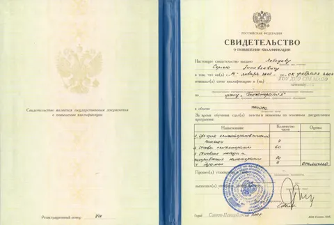 svidetelstvo — Лебедев Сергей Зиновьевич