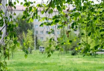 Комунальне некомерційне підприємтсво «Окружна лікарня інтенсивного лікування» — фото 10