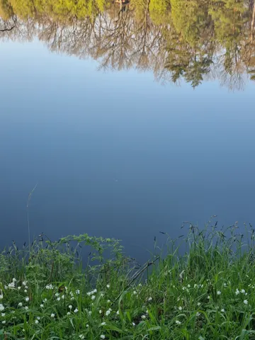 провина — фото 4